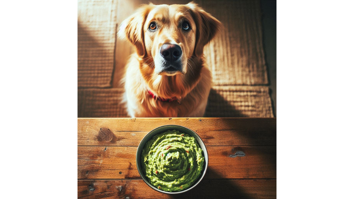 Avocado Dangers for Dogs: A Must-Read Guide